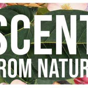 Scent from Nature Exhibition Poster